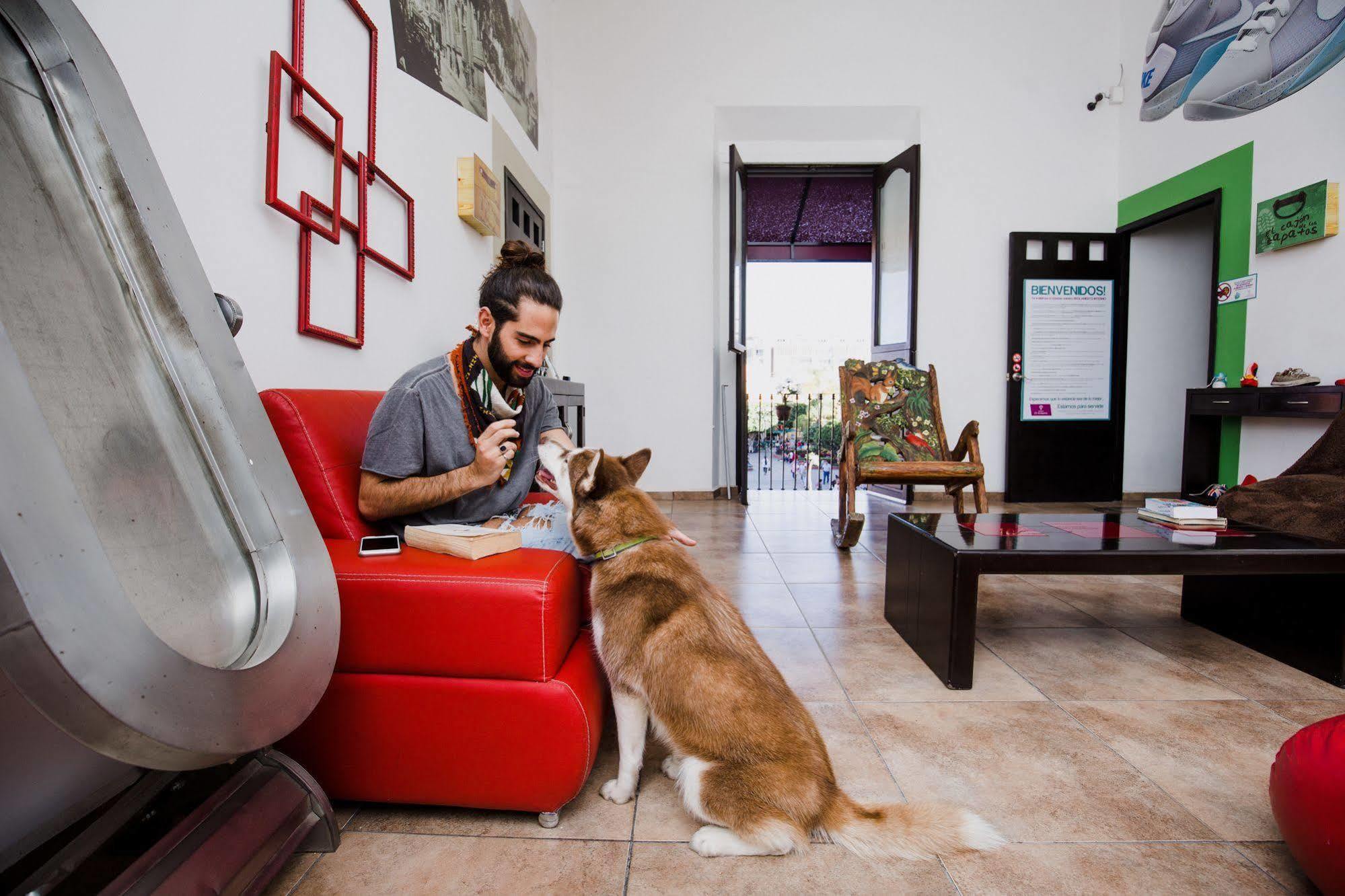 Hostal El Armario Λεόν Εξωτερικό φωτογραφία